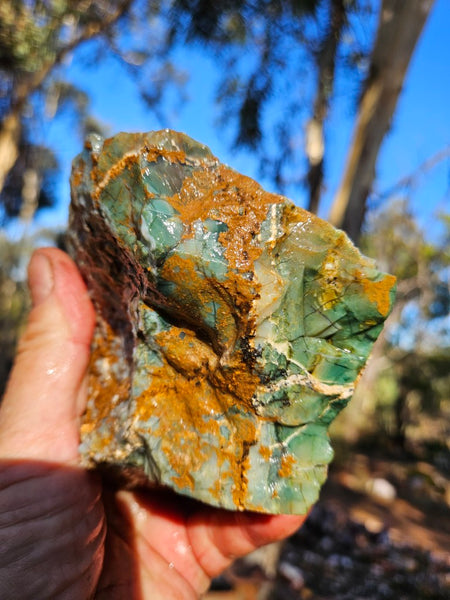 Green Opal  rough.  GOR 139
