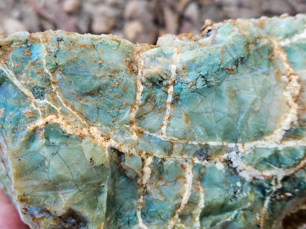 Green Opal  rough.  GOR 139