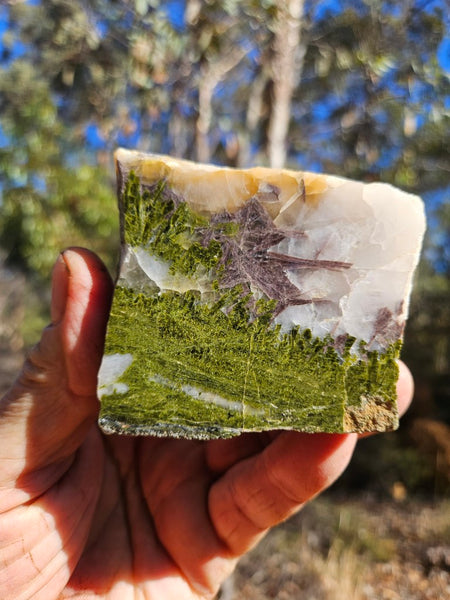 Epidote, Quartz & Axinite EPI83