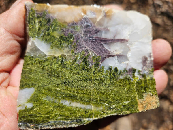 Epidote, Quartz & Axinite EPI83