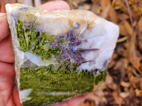 Epidote, Quartz & Axinite EPI83
