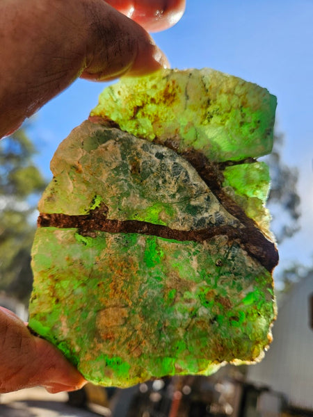 Chrysoprase rough.  CHR 200