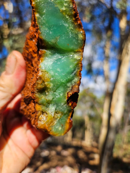 Chrysoprase rough.  CHR 201