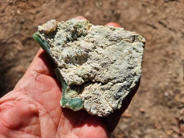 Chrysoprase rough.  CHR 204