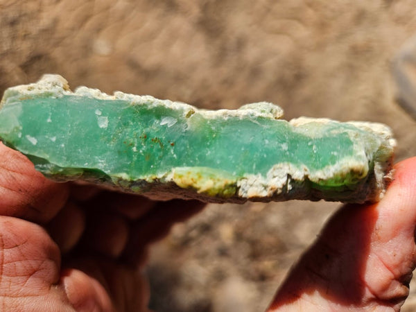 Chrysoprase rough.  CHR 204