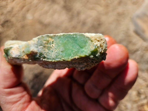 Chrysoprase rough.  CHR 204