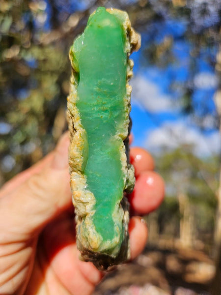 Chrysoprase rough.  CHR 204