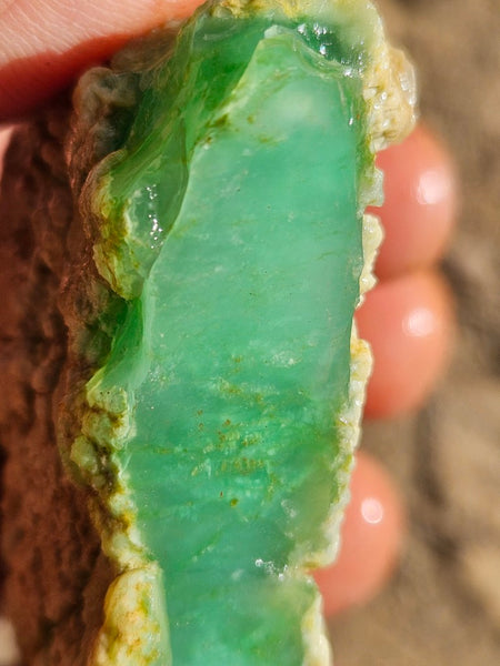 Chrysoprase rough.  CHR 204