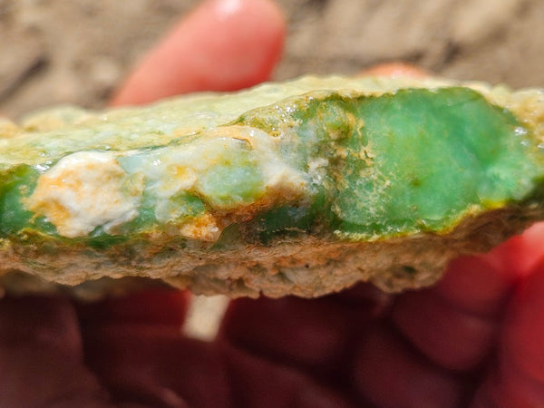 Chrysoprase rough.  CHR 204