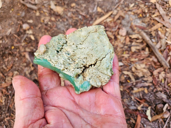 Chrysoprase rough.  CHR 204