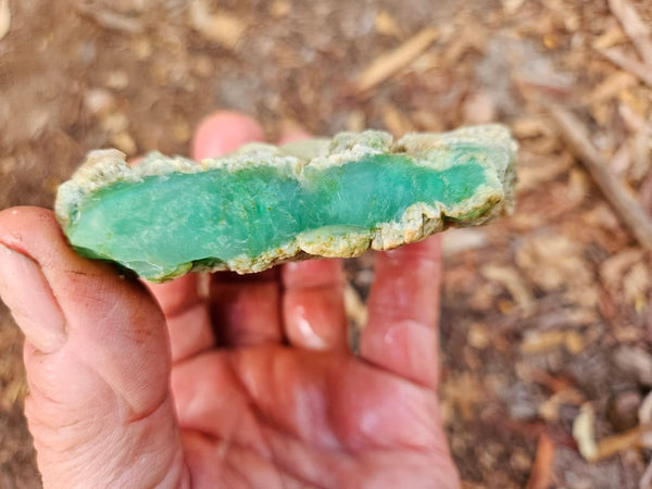 Chrysoprase rough.  CHR 204