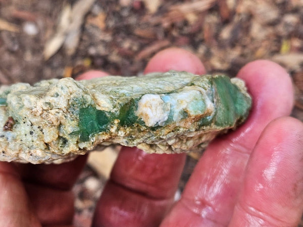 Chrysoprase rough.  CHR 204