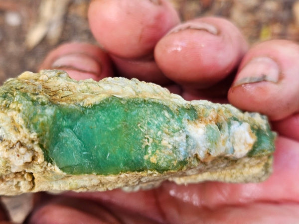 Chrysoprase rough.  CHR 204