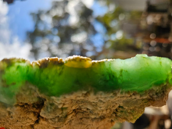 Chrysoprase rough.  CHR 204