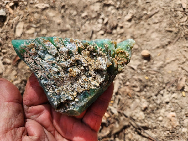 Chrysoprase rough.  CHR 205