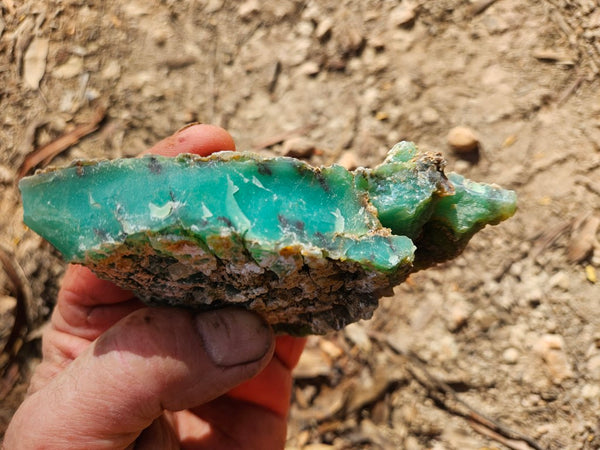 Chrysoprase rough.  CHR 205