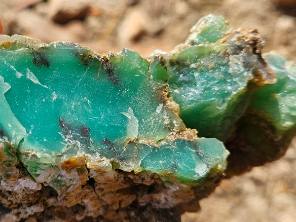 Chrysoprase rough.  CHR 205