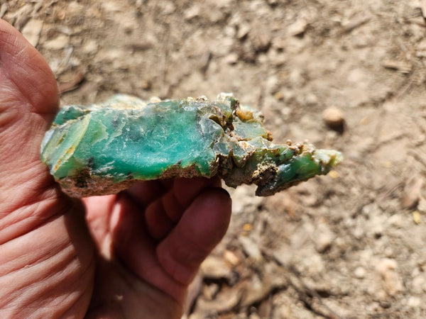 Chrysoprase rough.  CHR 205