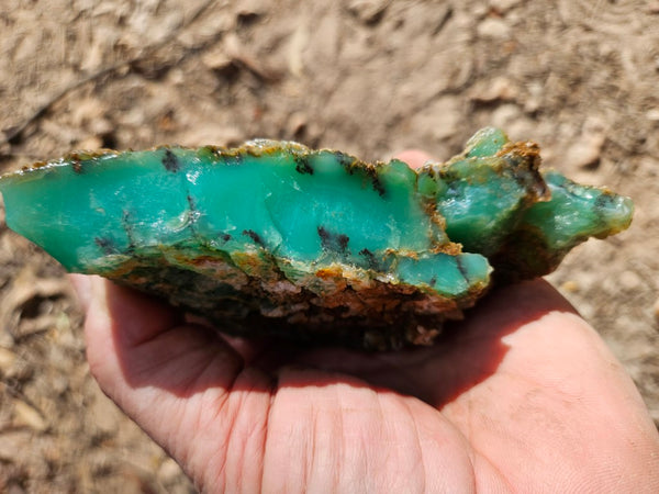 Chrysoprase rough.  CHR 205