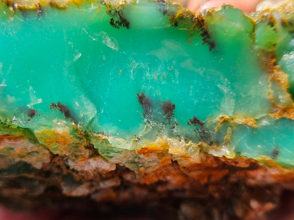 Chrysoprase rough.  CHR 205