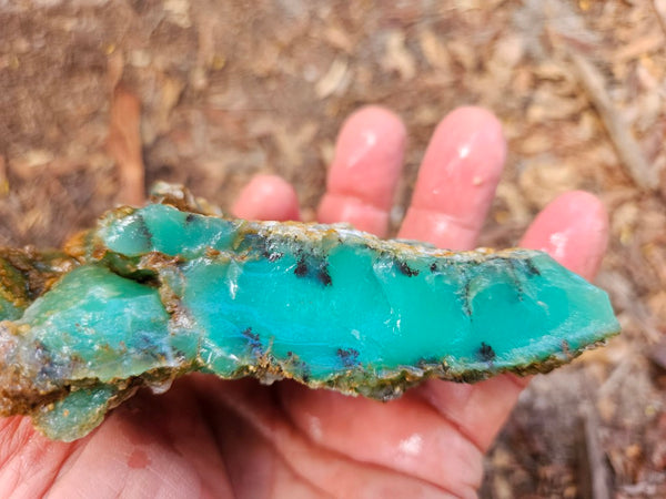 Chrysoprase rough.  CHR 205