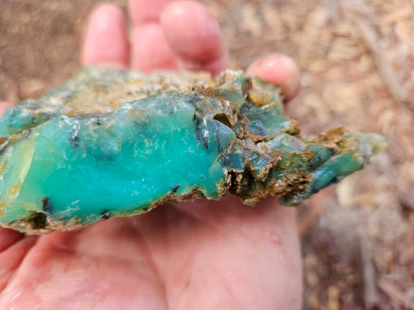 Chrysoprase rough.  CHR 205