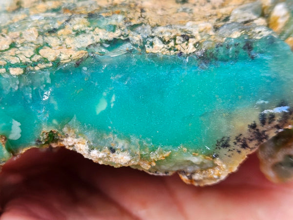 Chrysoprase rough.  CHR 205