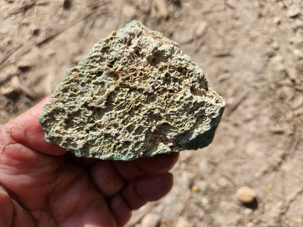 Chrysoprase rough.  CHR 206