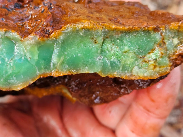 Chrysoprase rough.  CHR 203