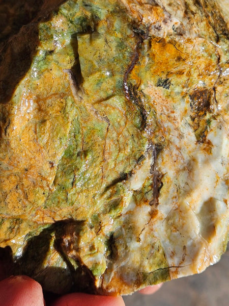 Opalised Serpentine rough.  OSR 113