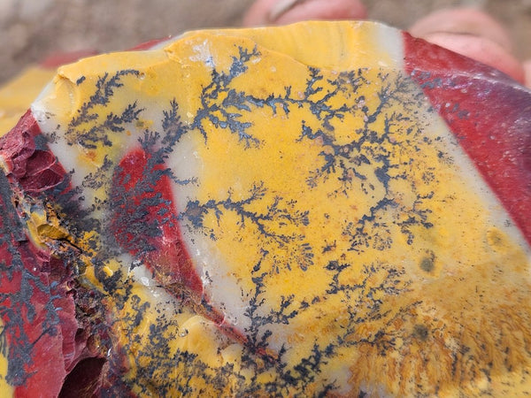 Mookaite rough.  MKR 269