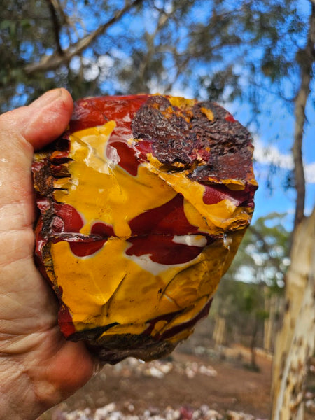 Mookaite rough.  MKR 269