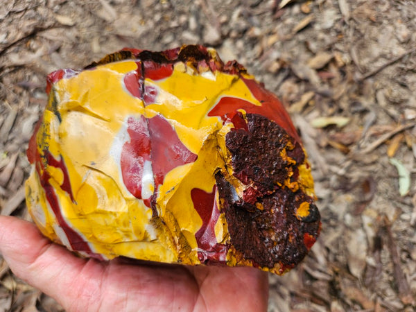 Mookaite rough.  MKR 269