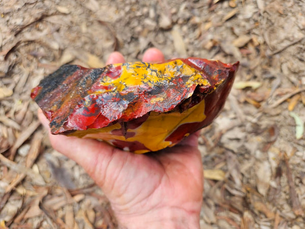 Mookaite rough.  MKR 269