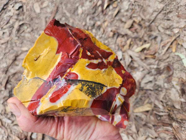 Mookaite rough.  MKR 269