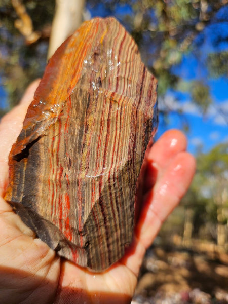Snakeskin Jasper rough.  SSR 171
