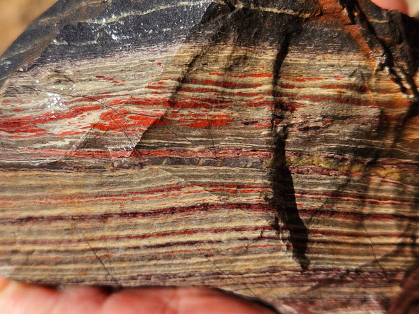 Snakeskin Jasper rough.  SSR 171