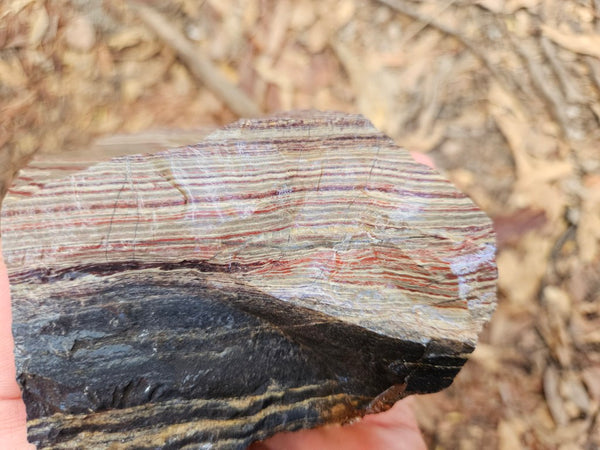 Snakeskin Jasper rough.  SSR 171