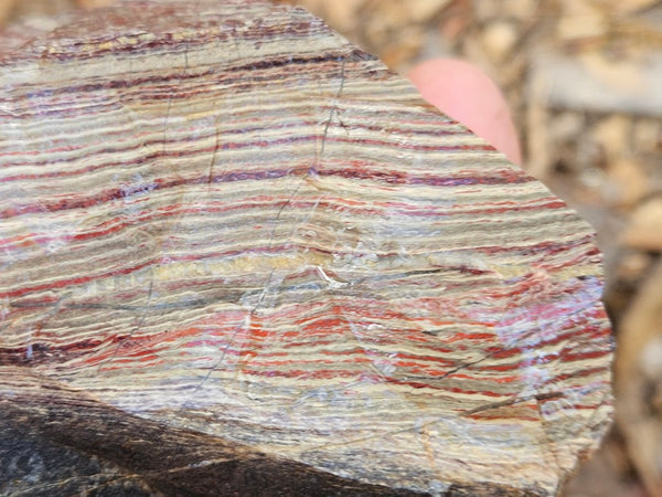 Snakeskin Jasper rough.  SSR 171