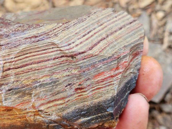 Snakeskin Jasper rough.  SSR 171
