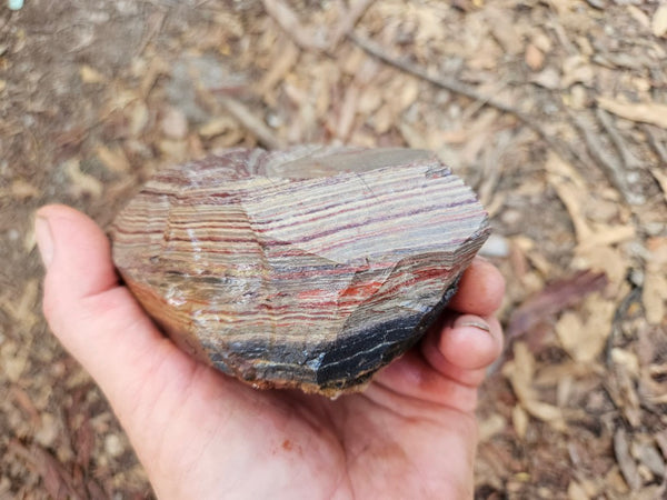 Snakeskin Jasper rough.  SSR 171