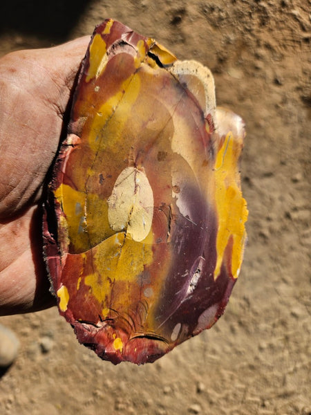 Mookaite rough.  MKR 270