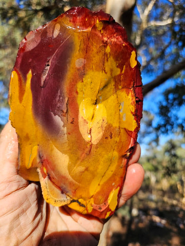 Mookaite rough.  MKR 270
