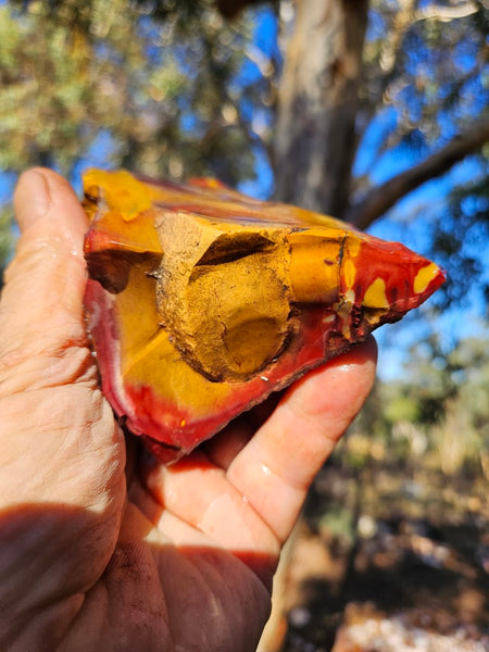 Mookaite rough.  MKR 270