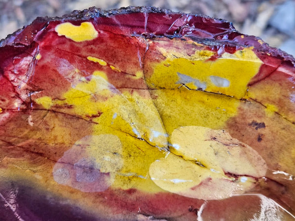 Mookaite rough.  MKR 270