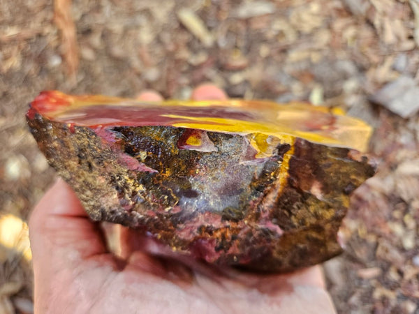 Mookaite rough.  MKR 270