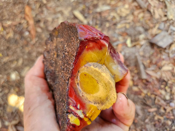 Mookaite rough.  MKR 270
