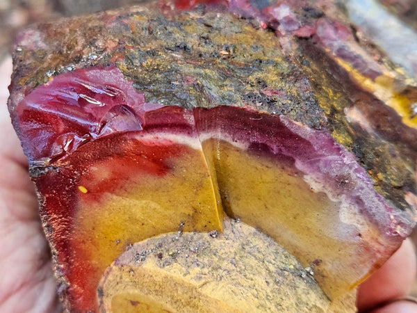 Mookaite rough.  MKR 270