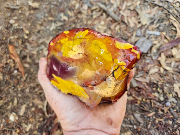 Mookaite rough.  MKR 270