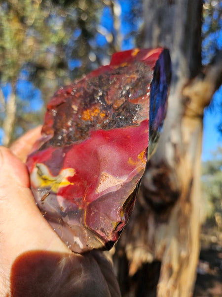 Mookaite rough.  MKR 271